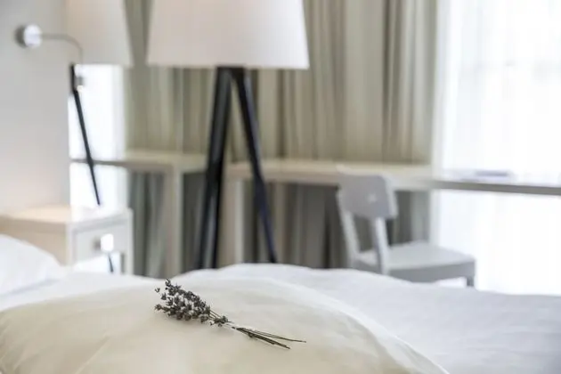 Deluxe Apart Daire, 2 Yatak Odası, Balkon, Deniz Manzaralı