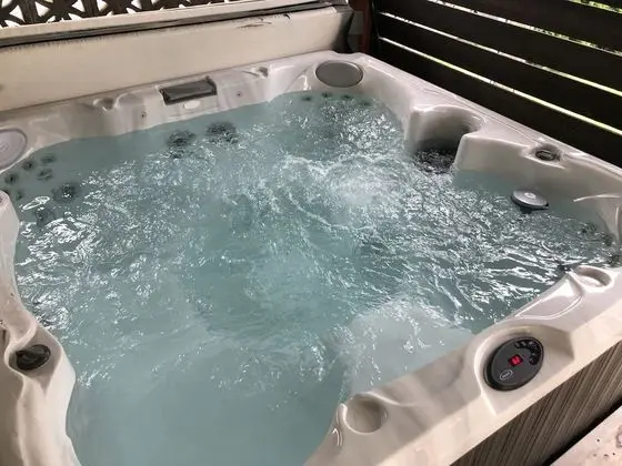 Luxury Ev