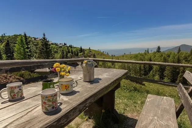 Dağ Evi, 1 Yatak Odası, Buzdolabı