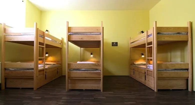10 Bed Dormitory, Shared Bathroom - 1 Bed