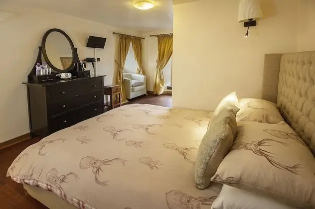 Tek Büyük Yataklı Oda (Falls View with Shower)