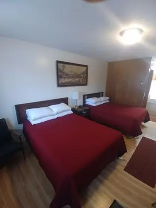 Deluxe Tek Büyük veya İki Ayrı Yataklı Oda