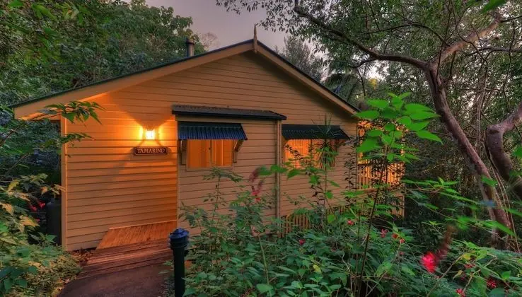 Kır Evi, 1 Yatak Odası (rainforest)