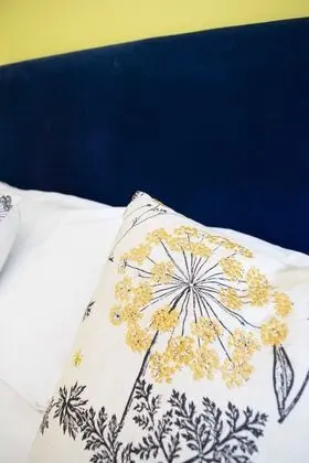 Deluxe Tek Büyük Yataklı Oda, Banyolu/Duşlu (Room 2 )