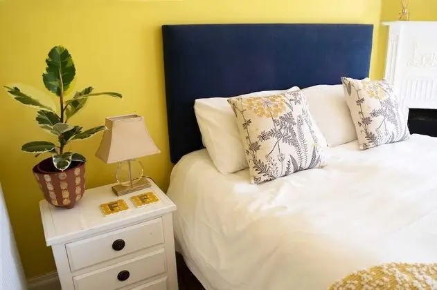 Deluxe Tek Büyük Yataklı Oda, Banyolu/Duşlu (Room 2 )