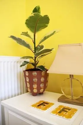 Deluxe Tek Büyük Yataklı Oda, Banyolu/Duşlu (Room 2 )