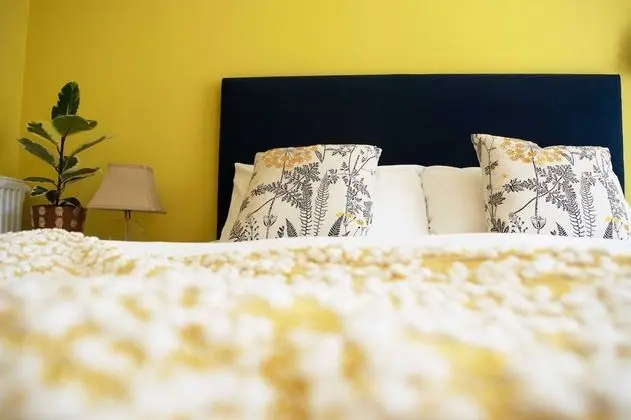 Deluxe Tek Büyük Yataklı Oda, Banyolu/Duşlu (Room 2 )