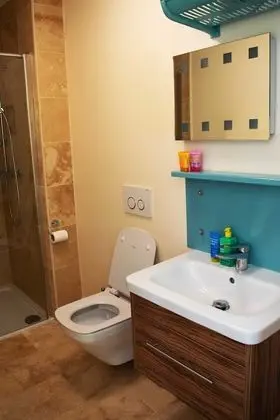 Deluxe Tek Büyük Yataklı Oda, Banyolu/Duşlu (Room 2 )