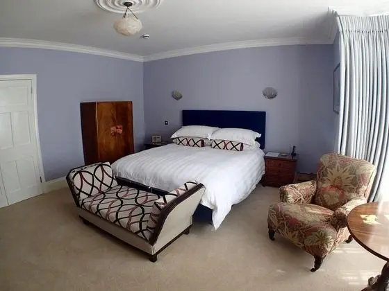 Premium Tek Büyük Yataklı Oda, Banyolu/Duşlu (Room 1)