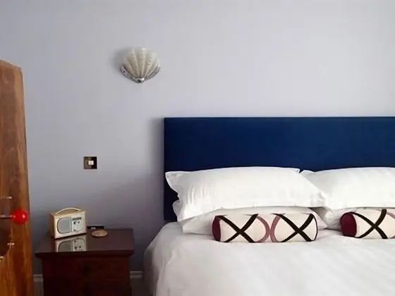 Premium Tek Büyük Yataklı Oda, Banyolu/Duşlu (Room 1)