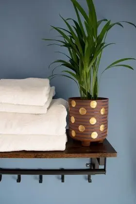 Tek Büyük Yataklı Oda, Banyolu/Duşlu (Room 3 .)