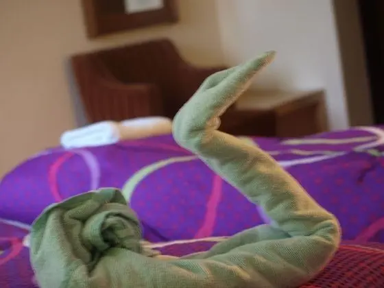 Tek Kişilik Oda