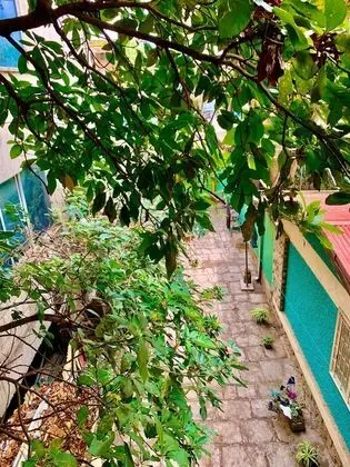 Family Süit, Ortak Banyo, Şehir Manzaralı