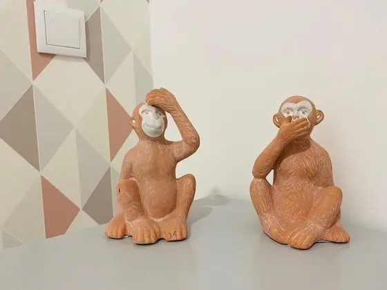 Basic Ortak Ranzalı Oda, Sadece kadınlar için