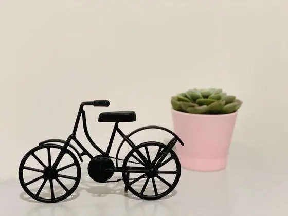 Basic Ortak Ranzalı Oda, Sadece kadınlar için