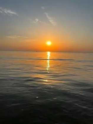 Ev, 4 Yatak Odası, Teras