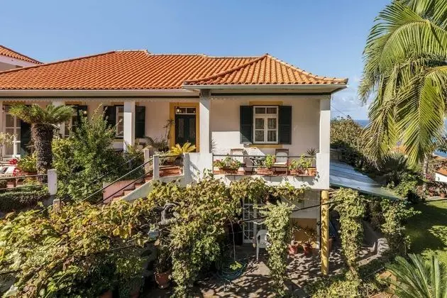 Basic Kır Evi, Birden Çok Yatak, Deniz Manzaralı