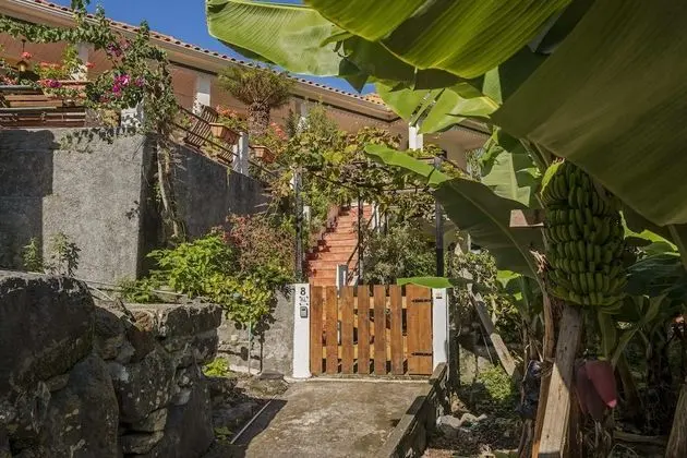 Basic Kır Evi, Birden Çok Yatak, Deniz Manzaralı