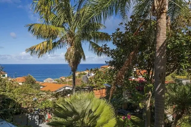 Basic Kır Evi, Birden Çok Yatak, Deniz Manzaralı