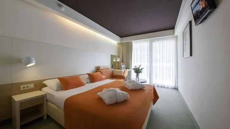 Tek Büyük Yataklı Oda, Balkon, Park Manzaralı