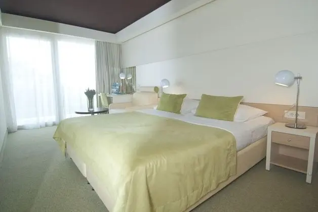 Tek Büyük Yataklı Oda, Balkon, Park Manzaralı