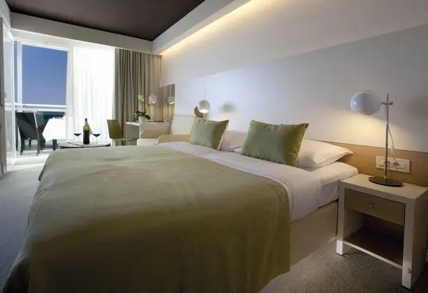 Tek Büyük Yataklı Oda, Balkon, Park Manzaralı