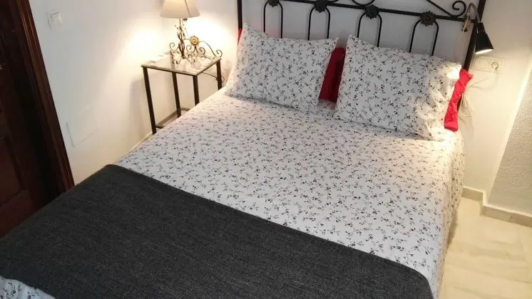 Standard Apart Daire, 1 Çift Kişilik Yatak (Rosaleda 2)