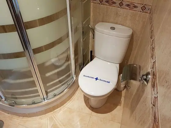 Standard Apart Daire, 1 Çift Kişilik Yatak (Rosaleda 2)