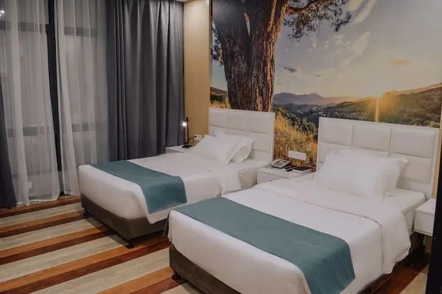 Deluxe İki Ayrı Yataklı Oda