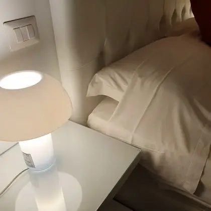 Exclusive Tek Büyük Yataklı Oda, 1 Büyük (Queen) Boy Yatak