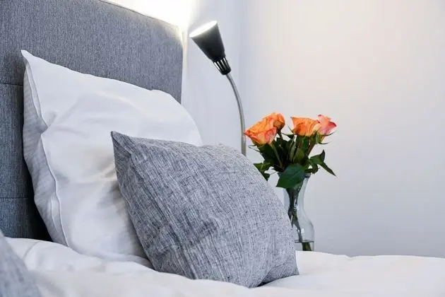 Apart Daire, 2 Yatak Odası, Buzdolabı