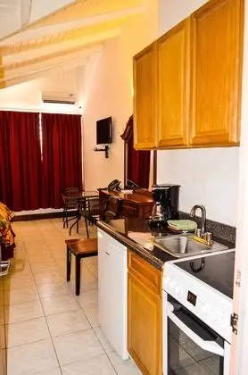 Deluxe Stüdyo, 1 Büyük (Queen) Boy Yatak, Sigara İçilmez