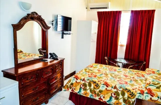 Deluxe Stüdyo, 1 Büyük (Queen) Boy Yatak, Sigara İçilmez