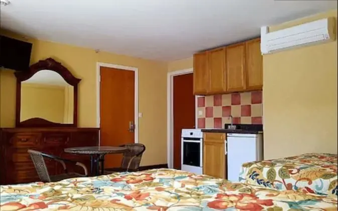 Deluxe Stüdyo, 2 Çift Kişilik Yatak
