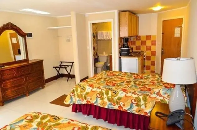 Deluxe Stüdyo, 2 Çift Kişilik Yatak