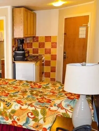 Deluxe Stüdyo, 2 Çift Kişilik Yatak