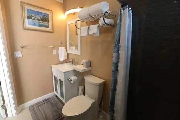 Standard Oda, 1 En Büyük (King) Boy Yatak, Sigara İçilmez, Havuz Manzaralı (Poolside King Room 2)
