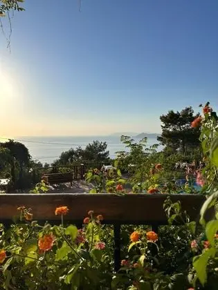 Deluxe Üç Kişilik Oda , Deniz ve Havuz Manzaralı, Balkonlu