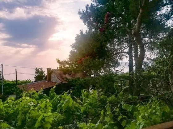 Standart Oda, Yandan Deniz Manzaralı, Balkonlu
