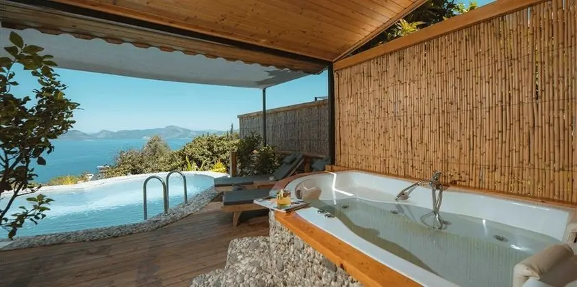 Ananas Suite Oda