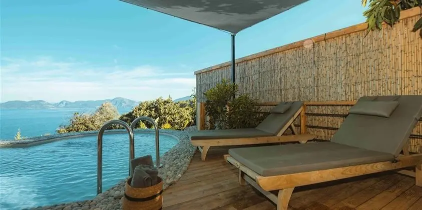 Ananas Suite Oda