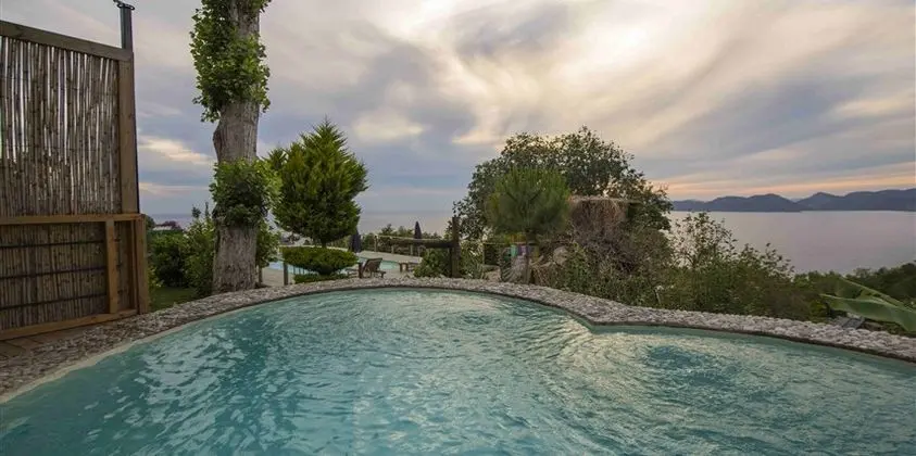 Mango Suite Oda