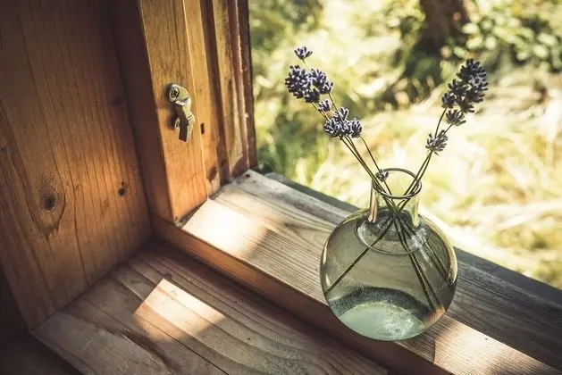 Kır Evi, Ortak Banyo (Ganesha)