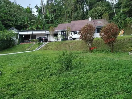 Shared Dormitory for female (1 bed for 1 person)