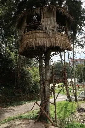 Shared Dormitory for female (1 bed for 1 person)