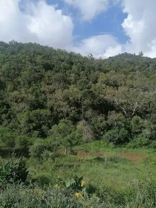 Kır Evi, 1 En Büyük (King) Boy Yatak