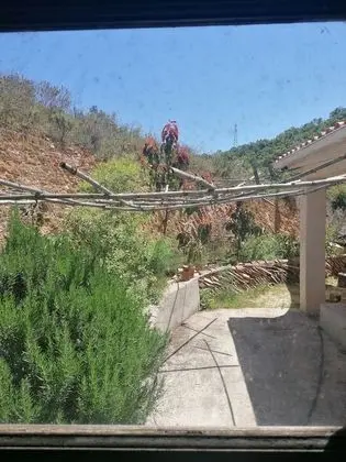 Kır Evi, 1 En Büyük (King) Boy Yatak