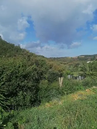 Kır Evi, 1 En Büyük (King) Boy Yatak