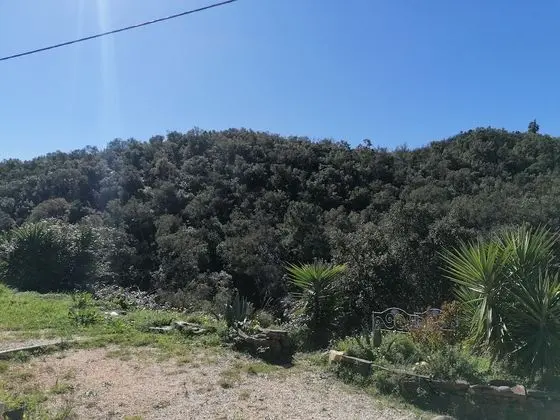 Kır Evi, 1 En Büyük (King) Boy Yatak