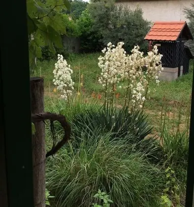 Süit, Sigara İçilmez, Bahçe Manzaralı